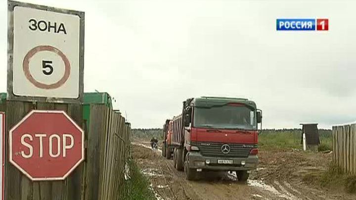 Горы мусора вместо лесного питомника