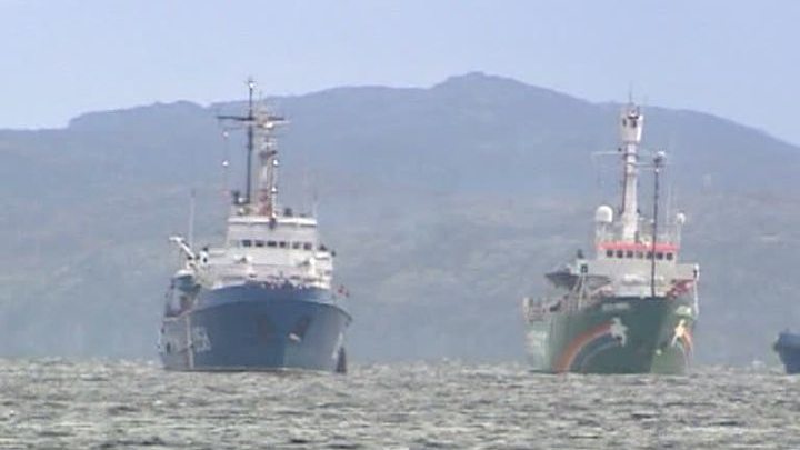 Скандал в Печорском море: чем обернется акция экологов