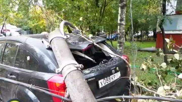Машину в Москве раздавили столб и дерево