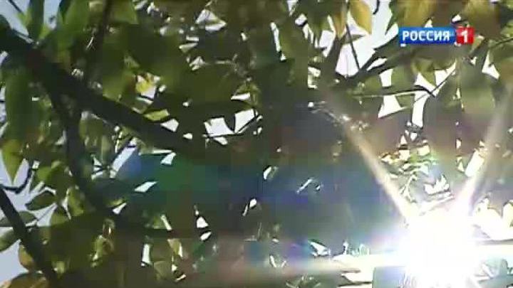 Холодная погода уходить не собирается