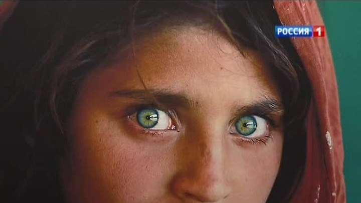 National Geographic отпразднует 125-летие уникальной выставкой