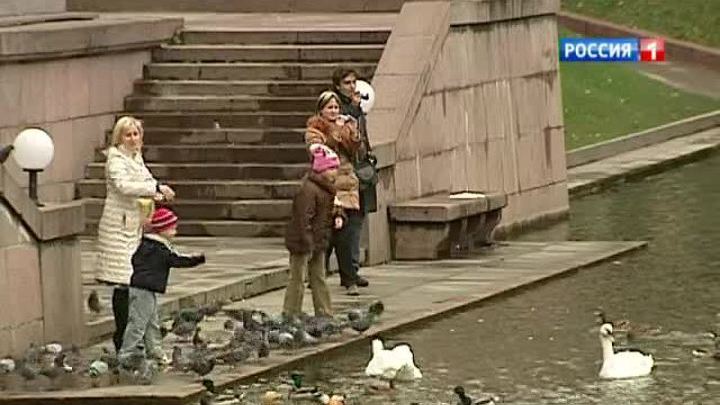 В столицу ночью придут заморозки