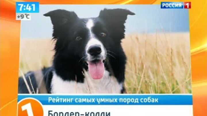 Эфир от 09.10.2013