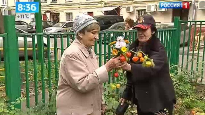 Городские партизаны: возле подъездов вырастают огороды