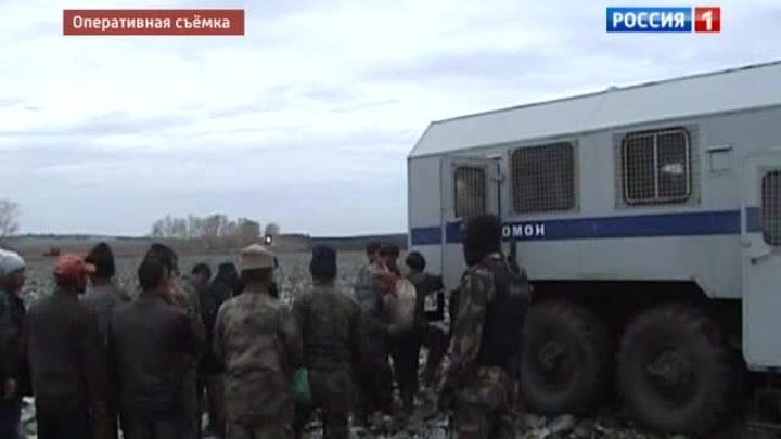 Иркутских нелегалов нашли в капусте