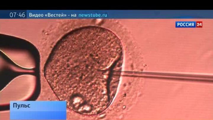<b>Программа "Пульс" от 12 октября 2013 года</b>
