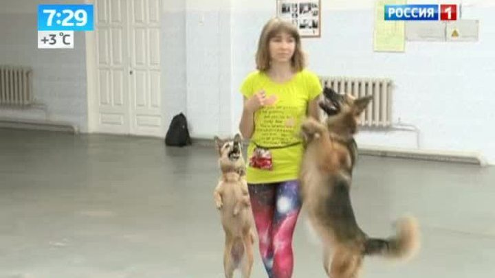 Эфир от 14.10.2013