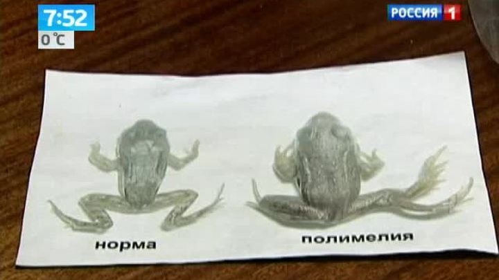 Эфир от 15.10.2013