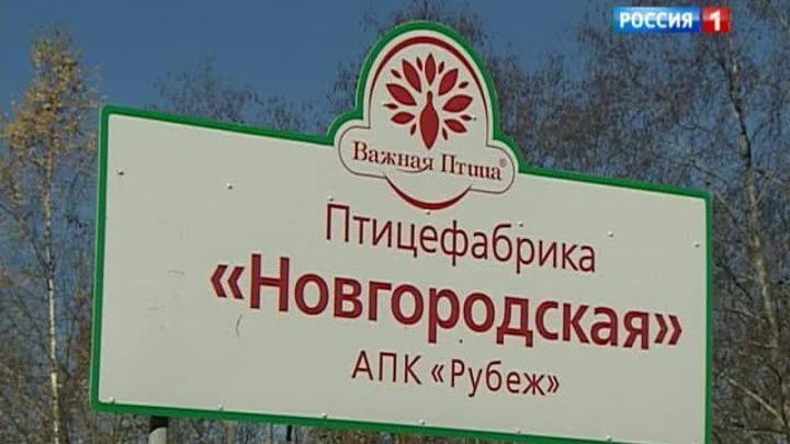 Руководство птицефабрики задолжало работникам миллионы