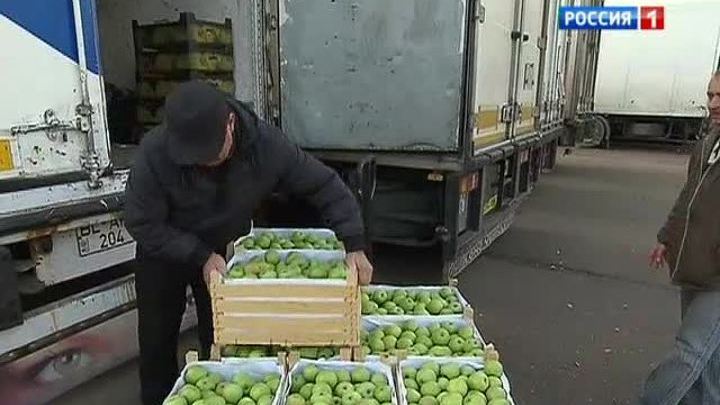 Базы и рынки Москвы подвергнут проверкам