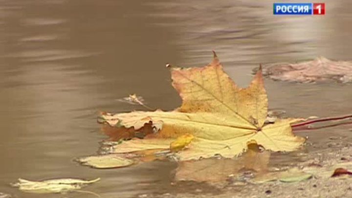 Выходные не порадуют теплом и солнцем