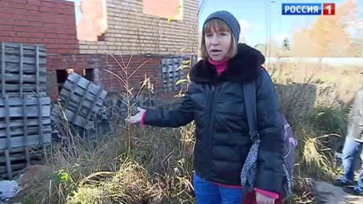 Новый скандал вокруг дольщиков в Пушкинском районе