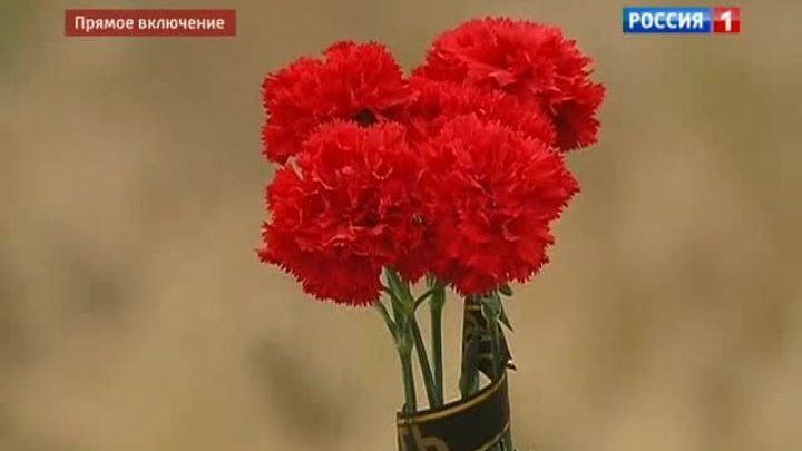Волгоград: жителям страшно, но паники нет