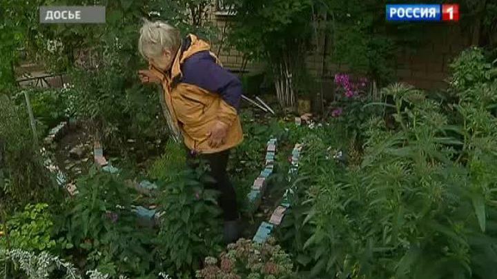 Собянин: москвичи могут сажать деревья в собственном дворе