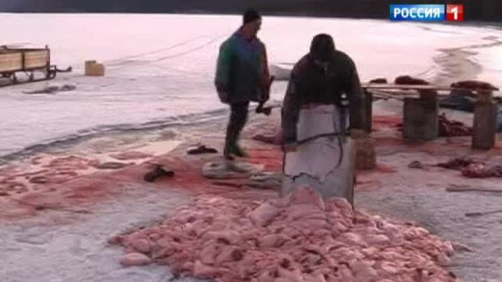 Инспектора природного заповедника обвиняют в браконьерстве