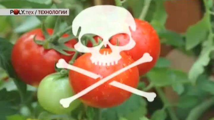 Выращенные на марсианском грунте овощи смертельно опасны