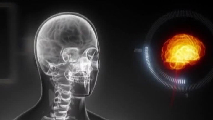 Проект Human Brain: в Швейцарии создают искусственный супермозг