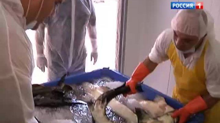 Израиль становится ведущим в мире производителем икры