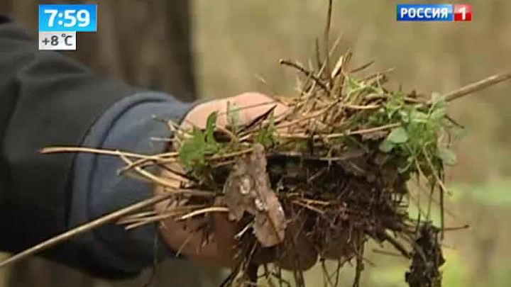 Эфир от 29.10.2013