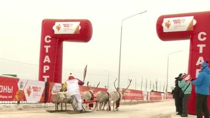 Олимпийский огонь в Нарьян-Маре встретили на оленьих упряжках 