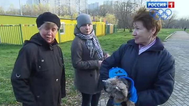 Растения в Ботаническом саду перепутали время года