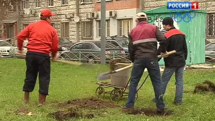 Москвичам предлагают выбрать и посадить дерево
