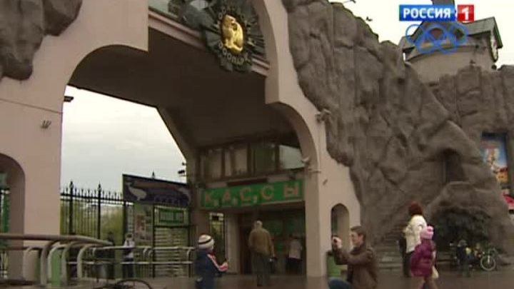 Звери в зоопарке не впадают в зимнюю спячку