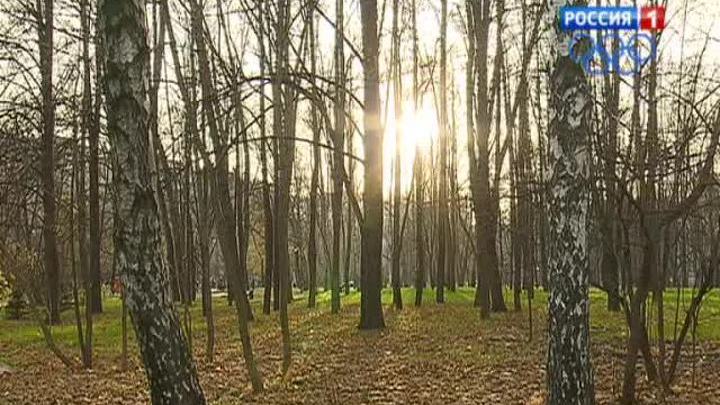 Побит ноябрьский абсолютный рекорд температуры воздуха в Москве