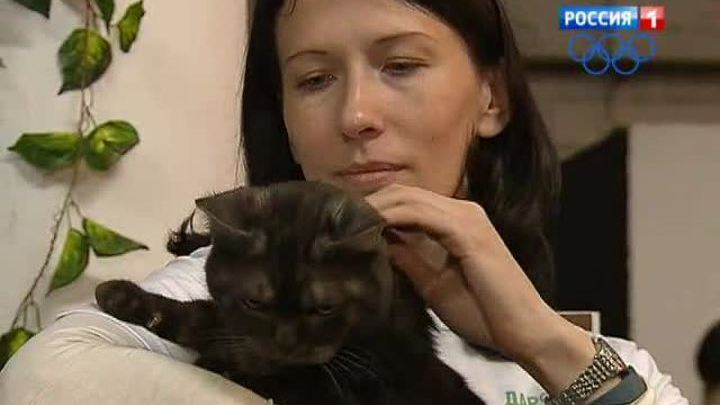 <b>Вести-Москва. Эфир от 10 ноября 2013 года (14:20)</b>