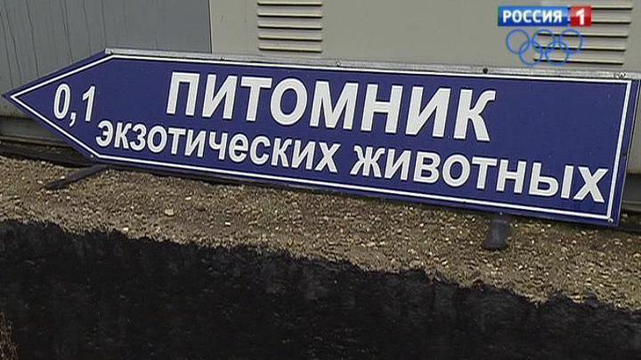 <b>Вести-Москва. Эфир от 19 ноября 2013 (11:30)</b>