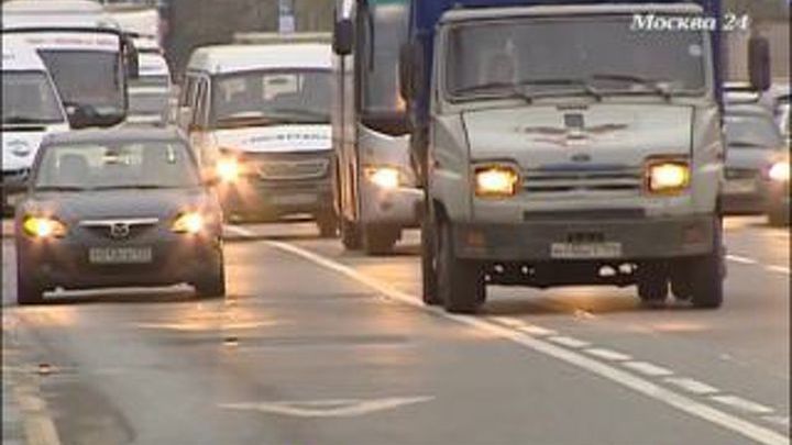 На разделительных полосах могут высадить дикий виноград