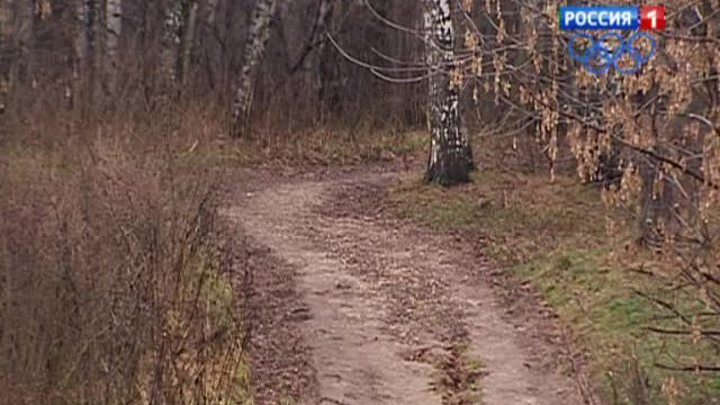 В столичном регионе последние теплые выходные