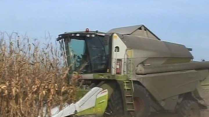 В Кабардино-Балкарии собрали миллион тонн зерновых 