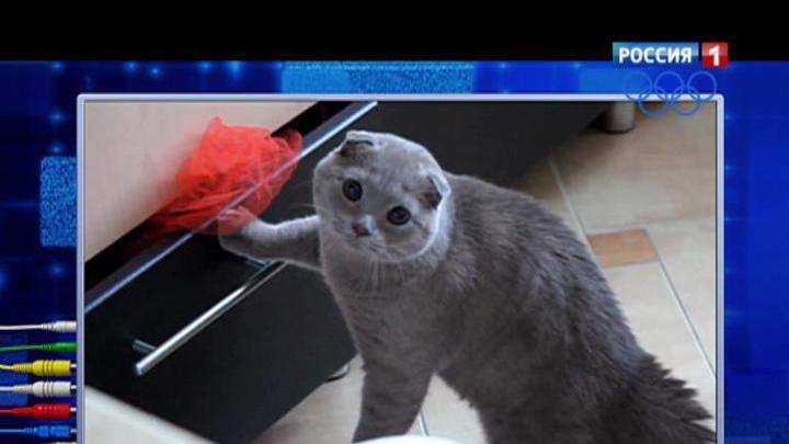 Эфир от 24.11.2013