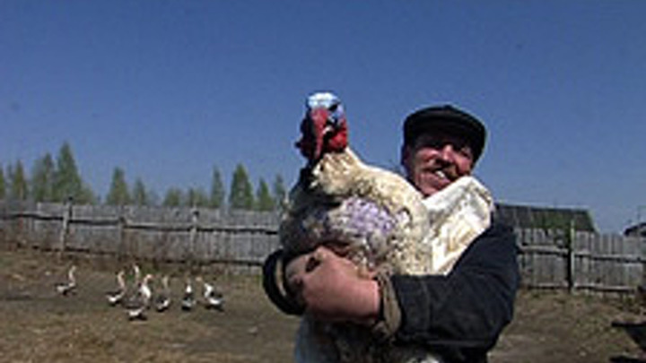 Куликово поле