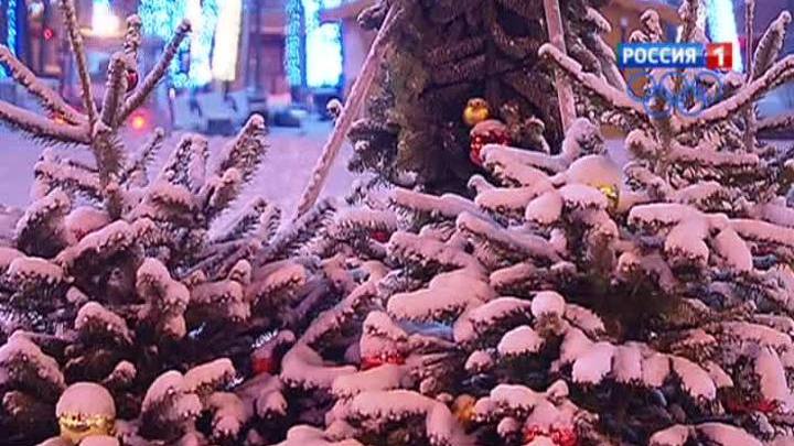 К Новому году на Тверской туи заменят на ели