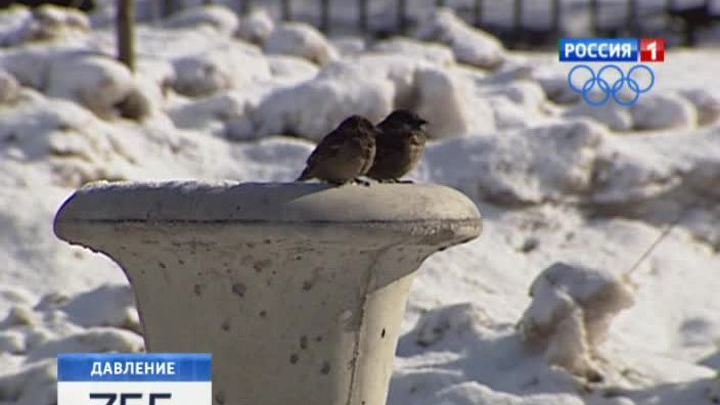 Погода в Москве в выходные дни будет теплая и влажная
