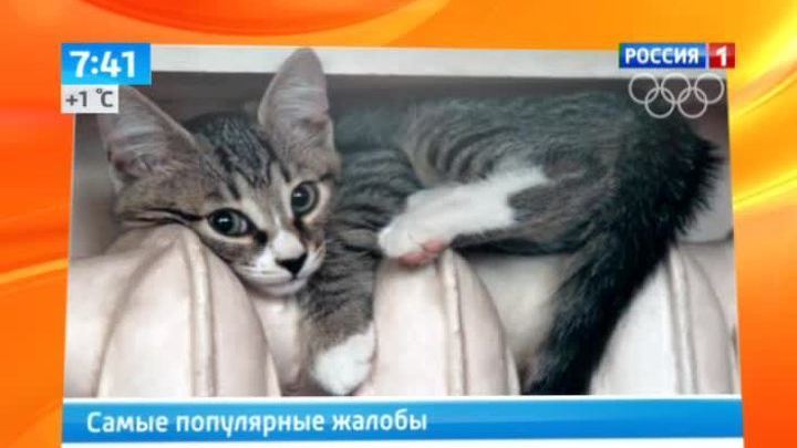 Эфир от 25.12.2013