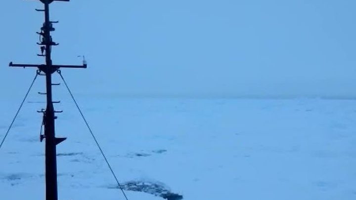 Экипаж "Академика Шокальского" ждет "Аврору" и шлет видеоприветы