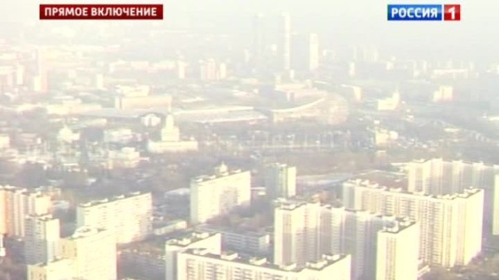 Под Новый год в Москву пришло весеннее тепло