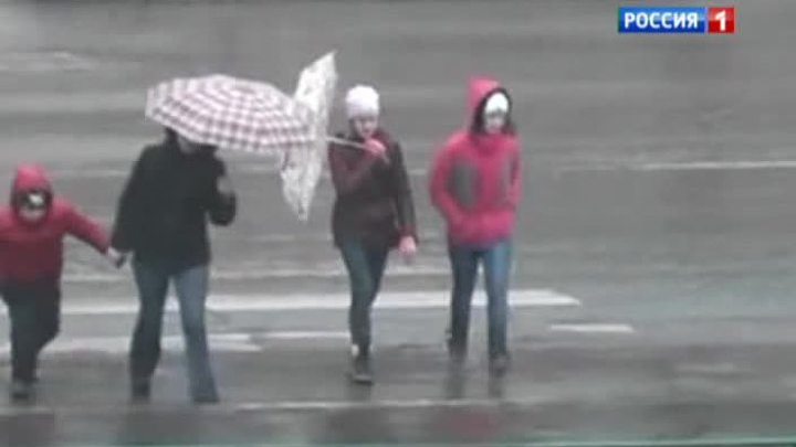 Ветер усилился: МЧС просит не парковаться под деревьями