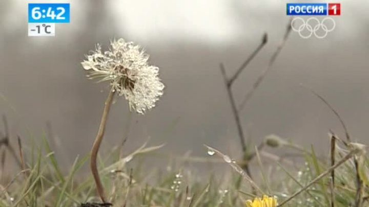 Эфир от 13.01.2014