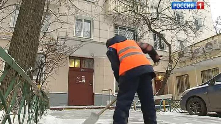 Как сменить теплый офис на свежий воздух и физические нагрузки