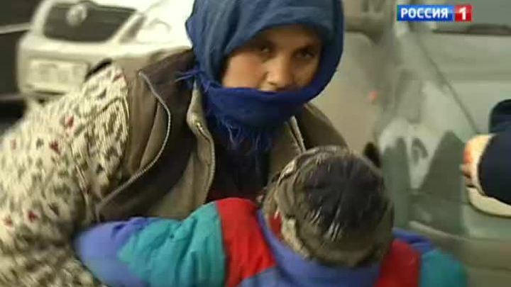 Попрошайки с собаками и кошками попали в поле зрения властей