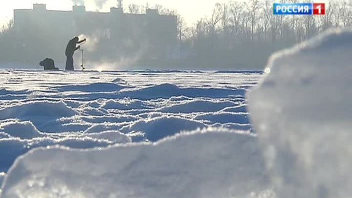 Ловить рыбу, оставаясь в он-лайне