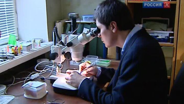 Эфир от 10.02.2014 (15:00)