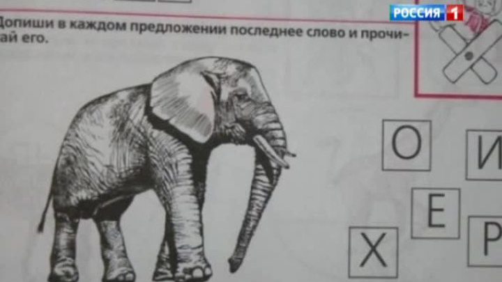 В порядке бреда: нелепицы учебных пособий