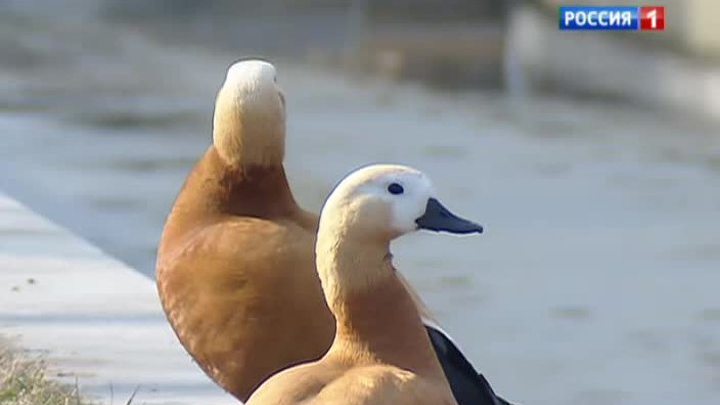 Мартовское лето продержится недолго