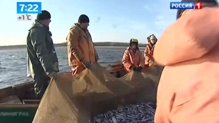 Эфир от 31.03.2014