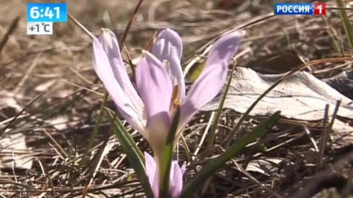 Эфир от 31.03.2014